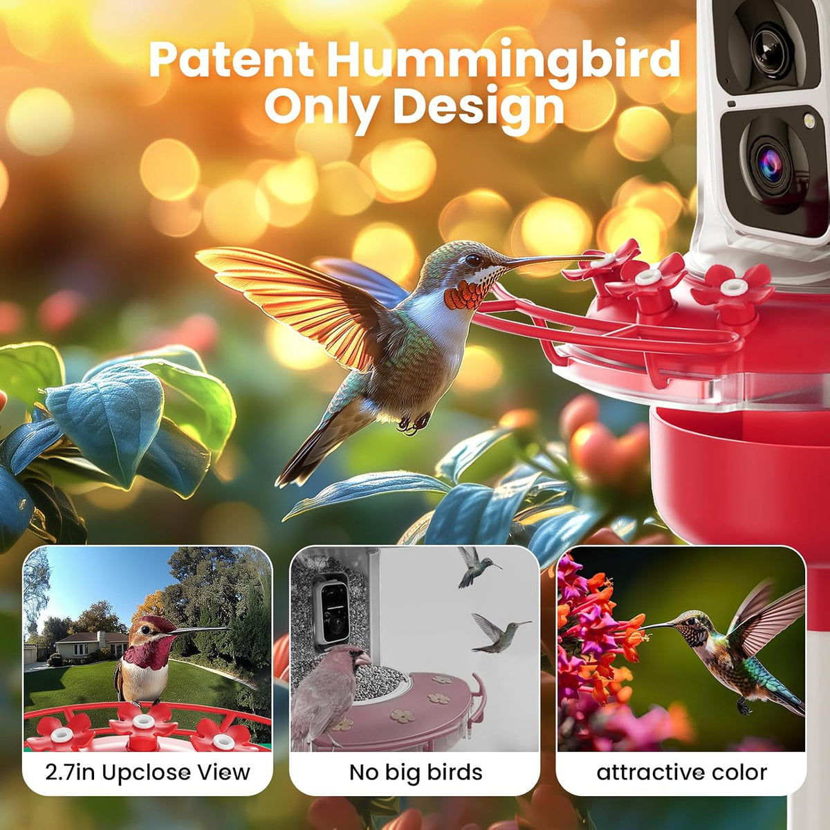 soliom hummingbird feeder with camera for outdoors, 2k showing dimensions