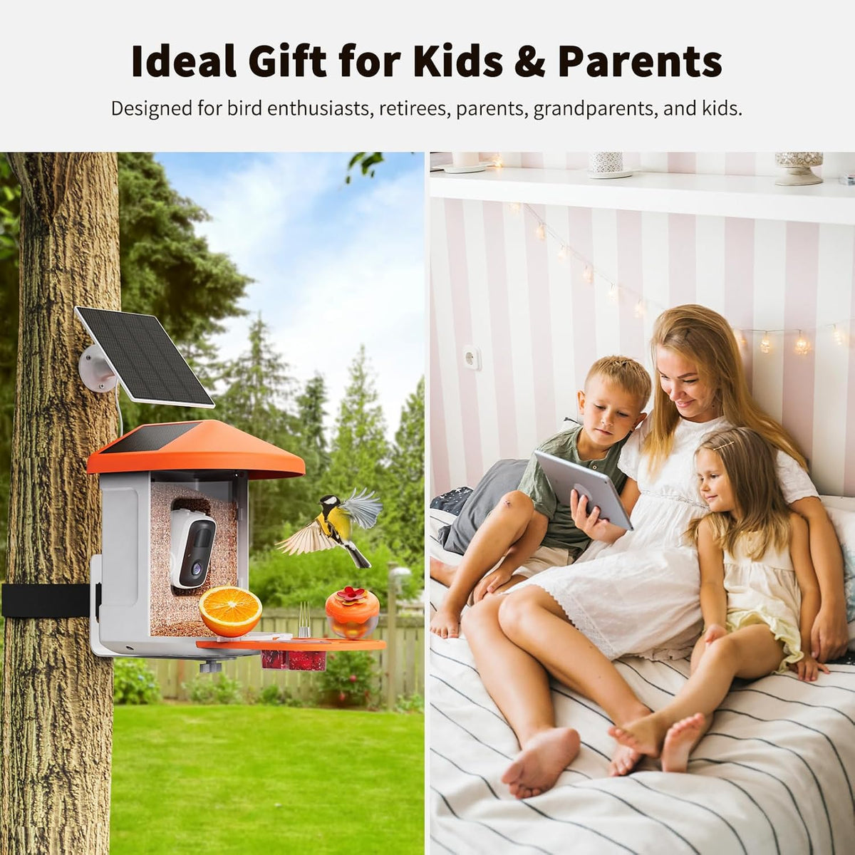 harymor bird feeder with camera showing dimensions