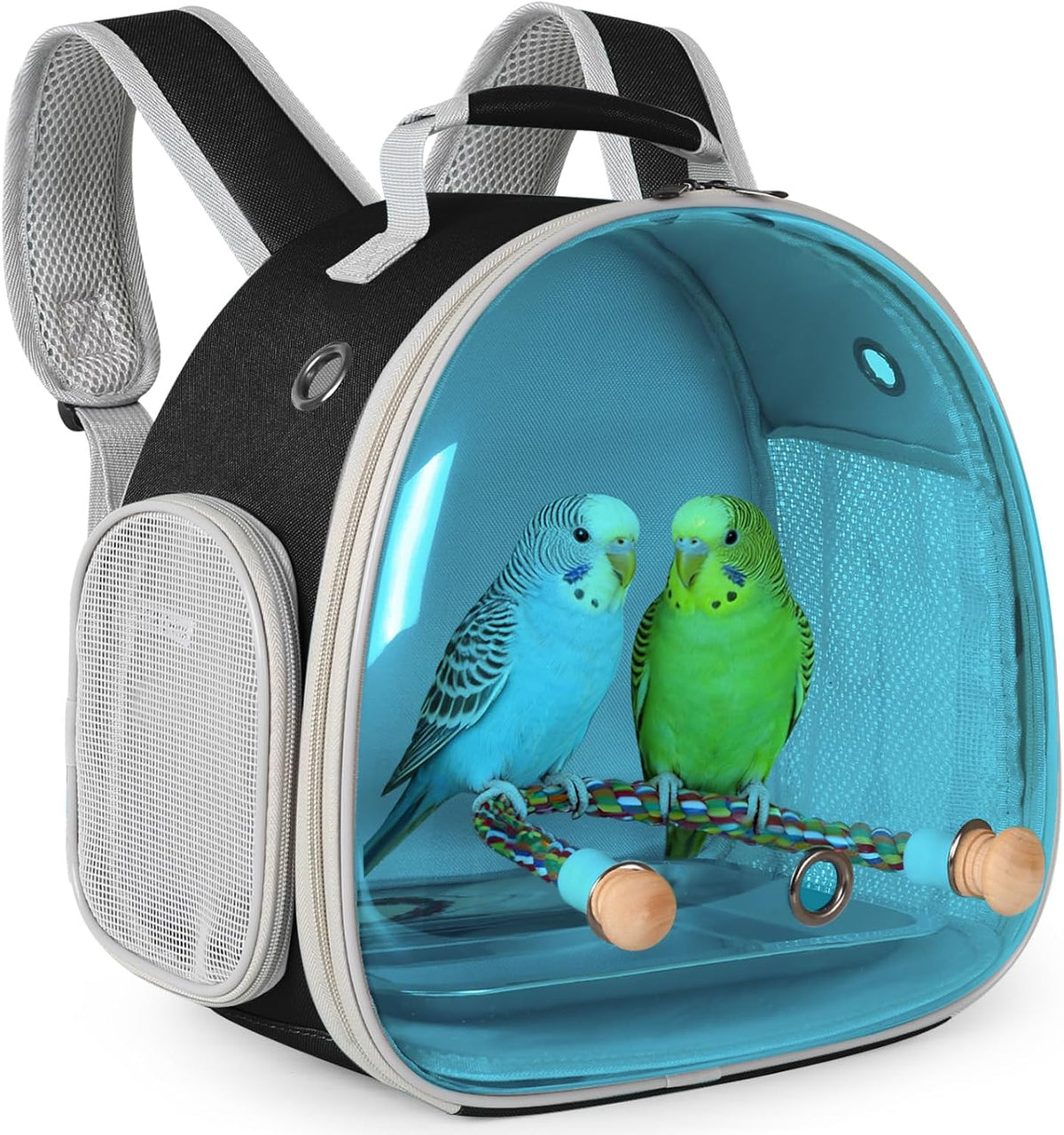 polarized tinted blue bubble small bird carrier travel, main product view
