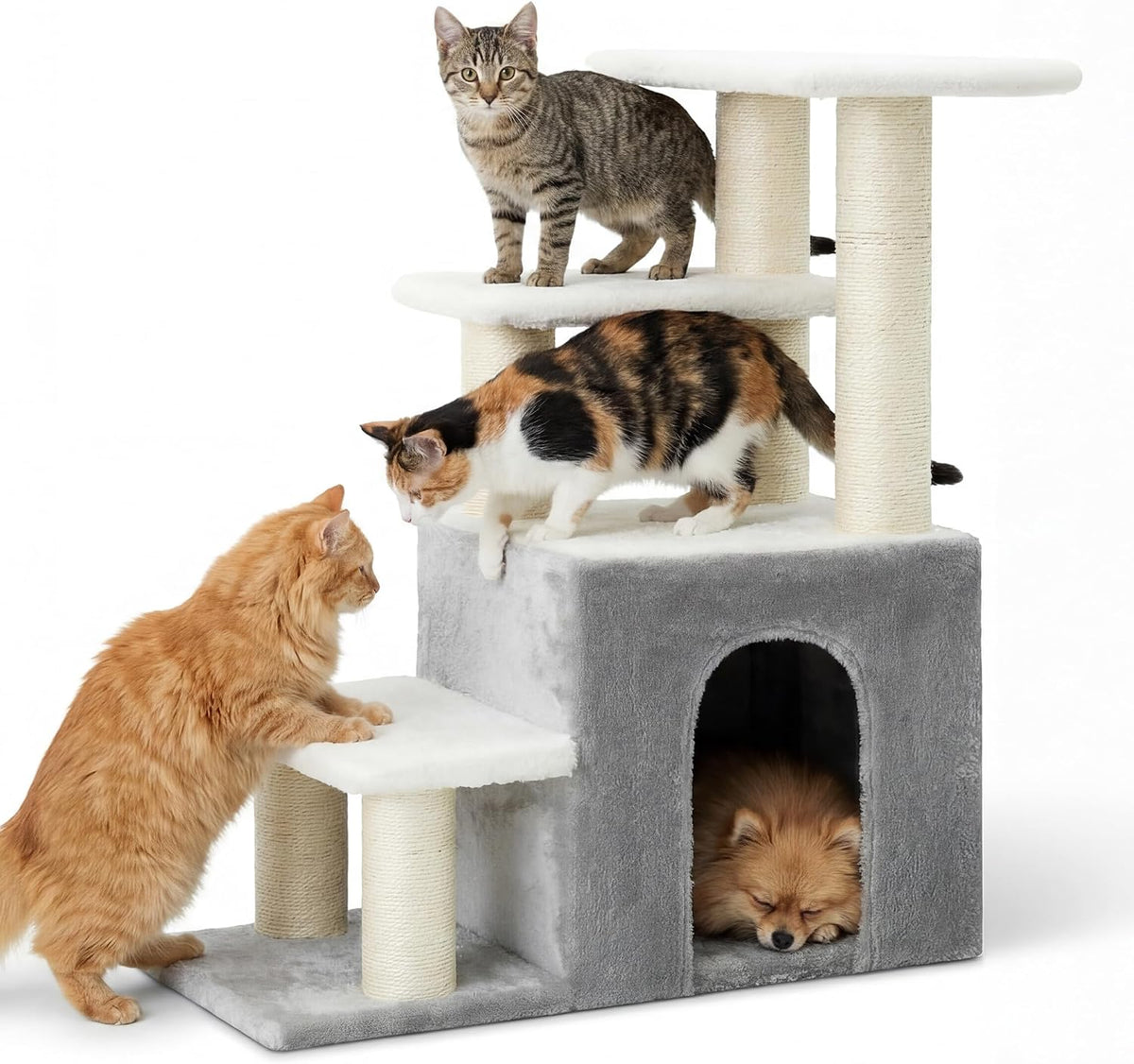 heybly cat scratching post, pet steps for indoor shown in use