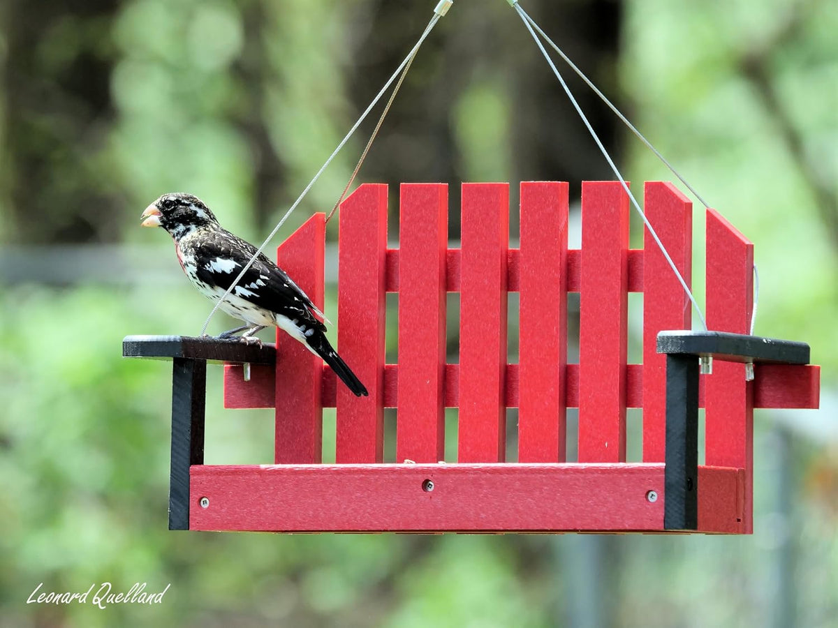 amishtoybox porch swing bird feeder, eco-friendly poly lumber, close-up detail