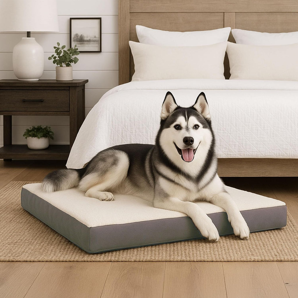 orthopedic dog bed - 2-layer 44x35-inch memory foam, front angle view