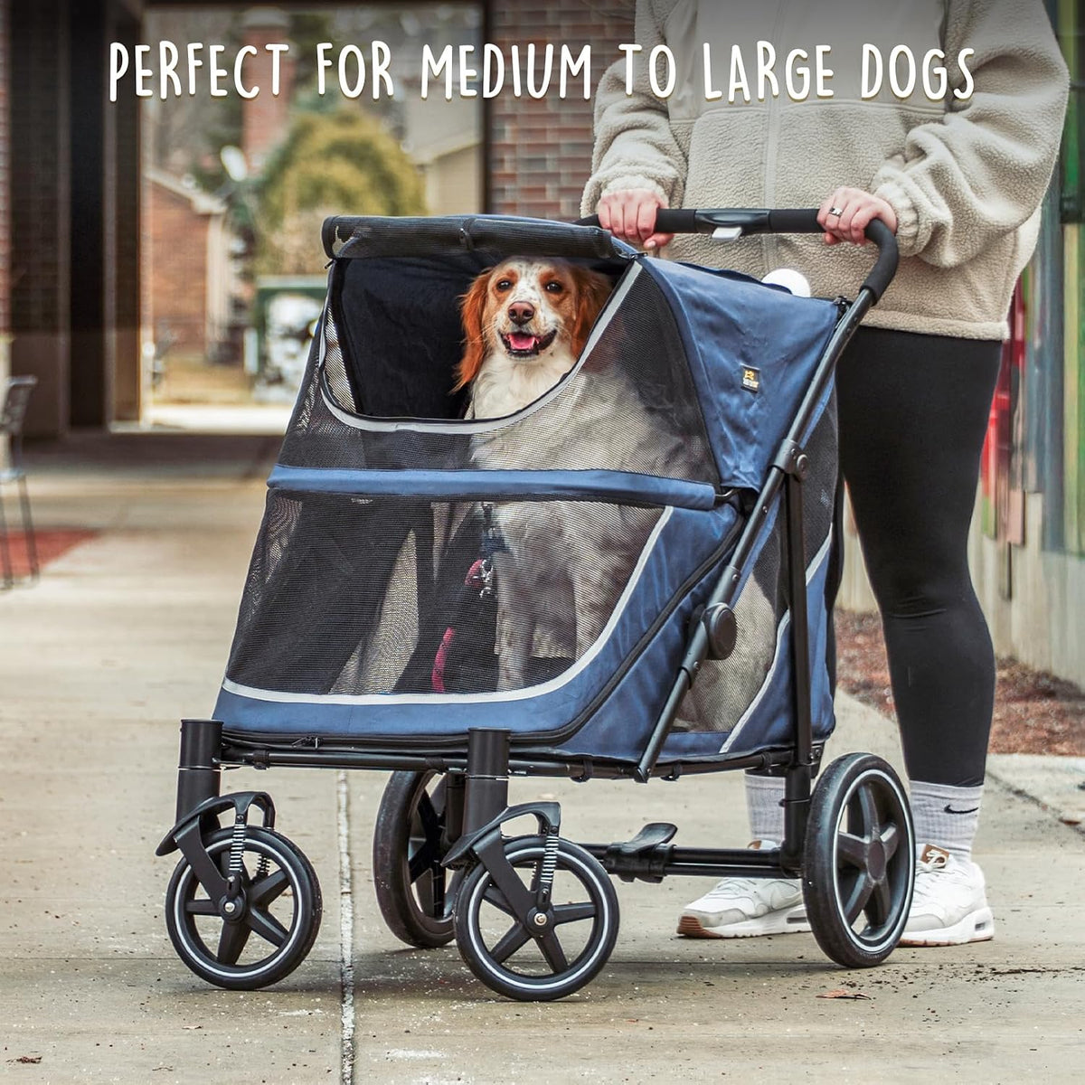 canine canyon all-terrain pet stroller for large &, front angle view