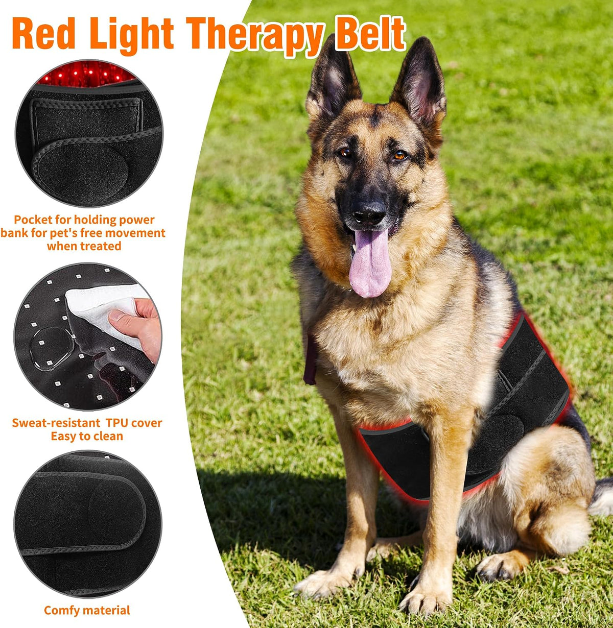 professional red light therapy belt for dogs shown in use