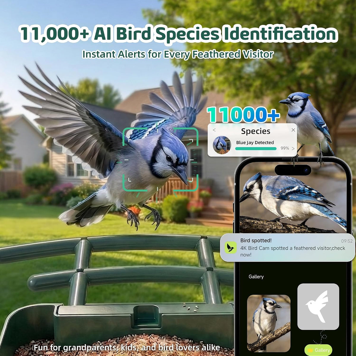 bird feeder with camera, no subscription, 4k uhd, close-up detail