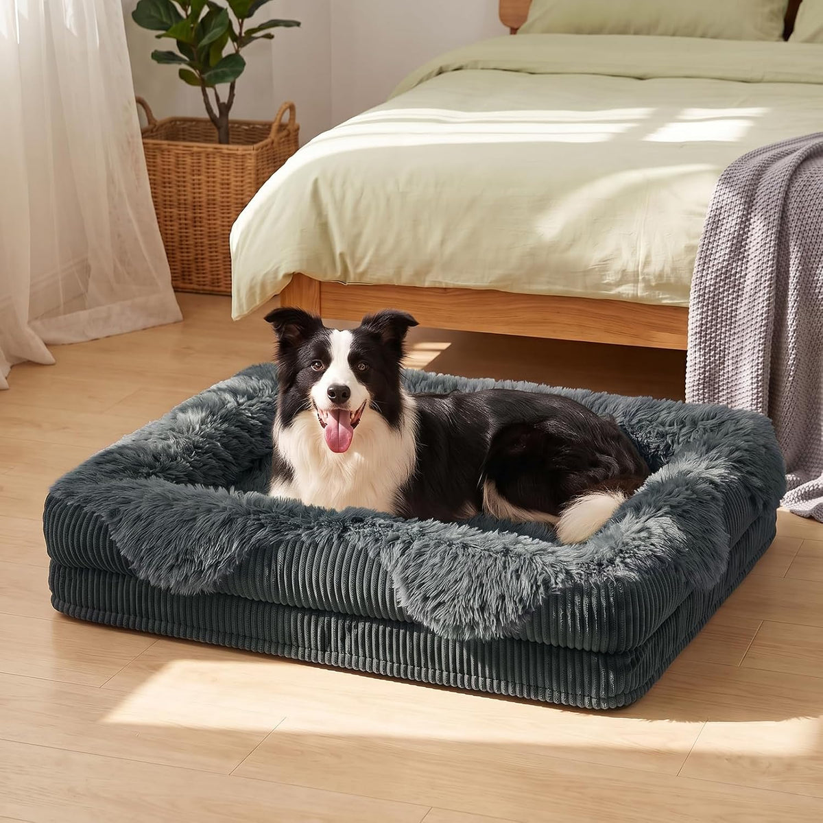 gasur orthopedic dog bed for large sized dog on a desk or shelf