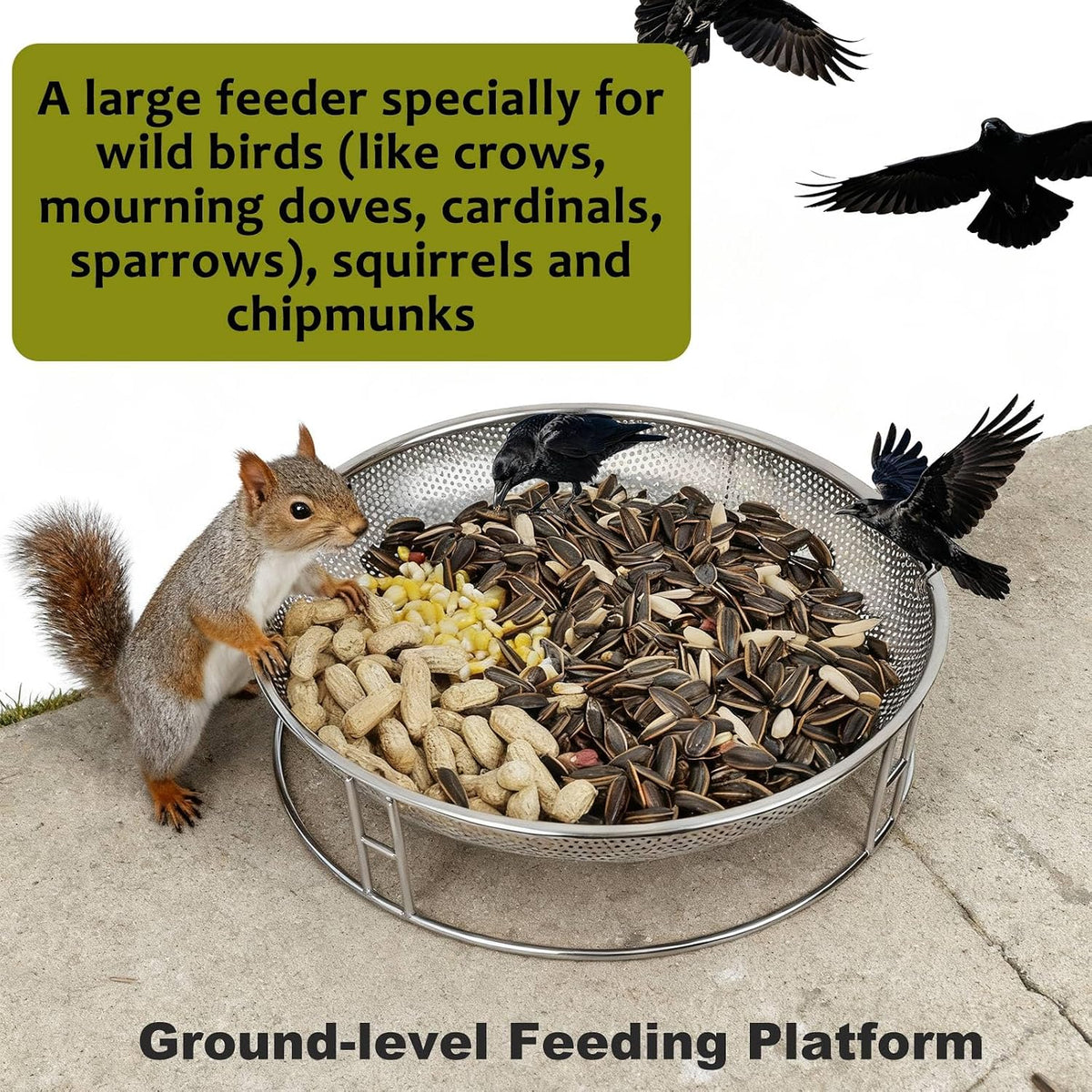 13-inch ground bird feeder and bath combo, stainless, close-up detail