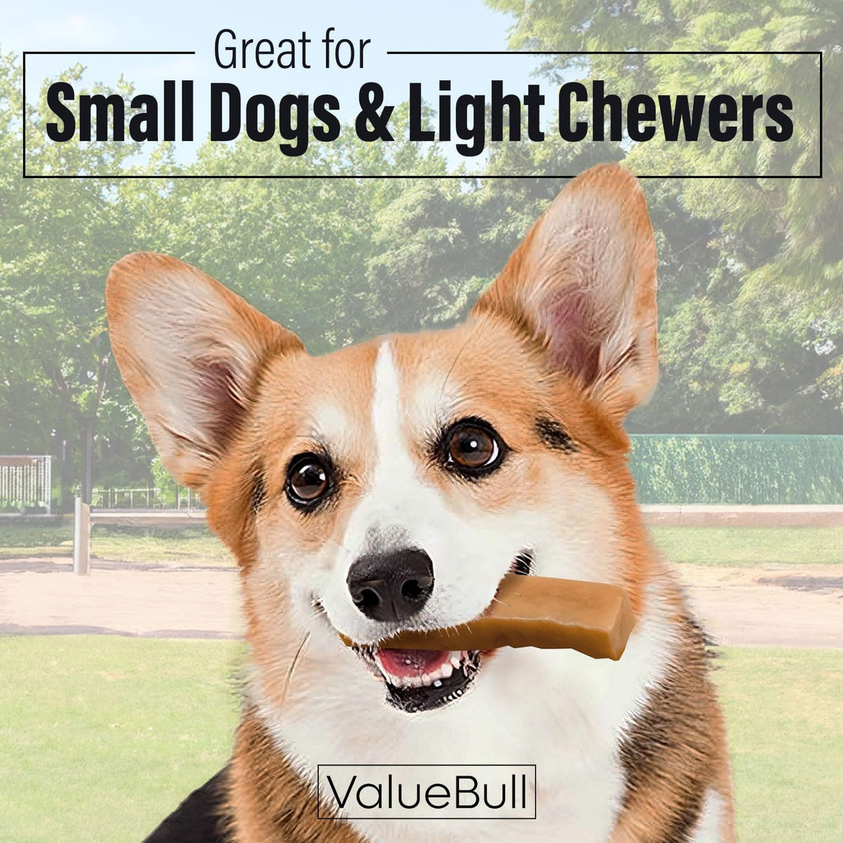 valuebull himalayan yak cheese dog chews, small, 10 shown in use