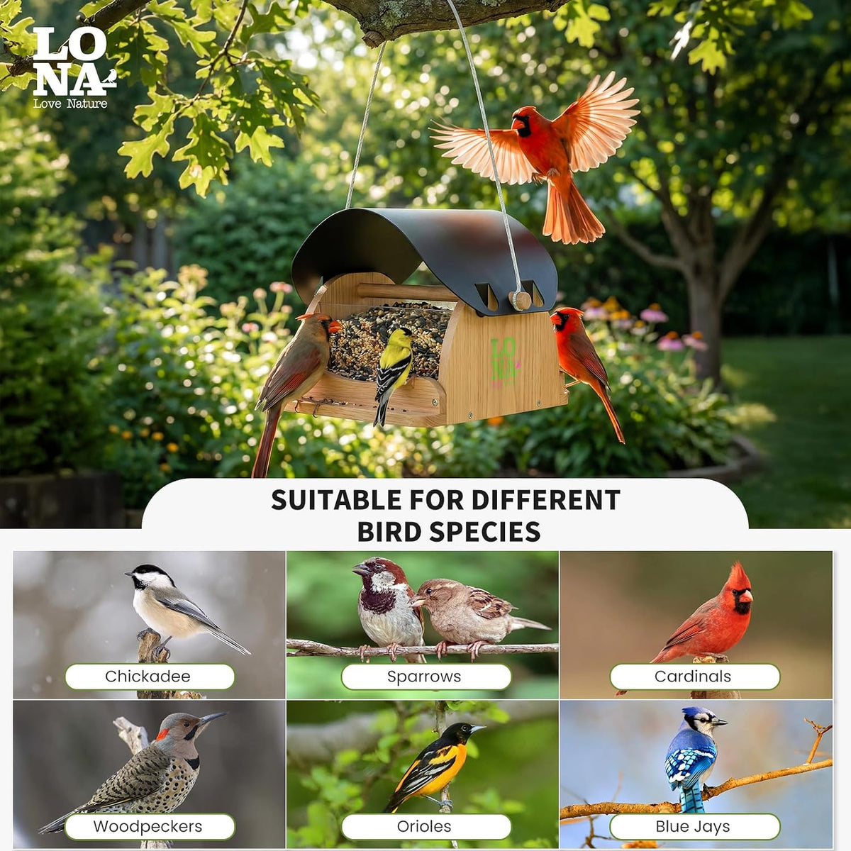lona wooden bird feeder for outdoors hanging, large showing dimensions