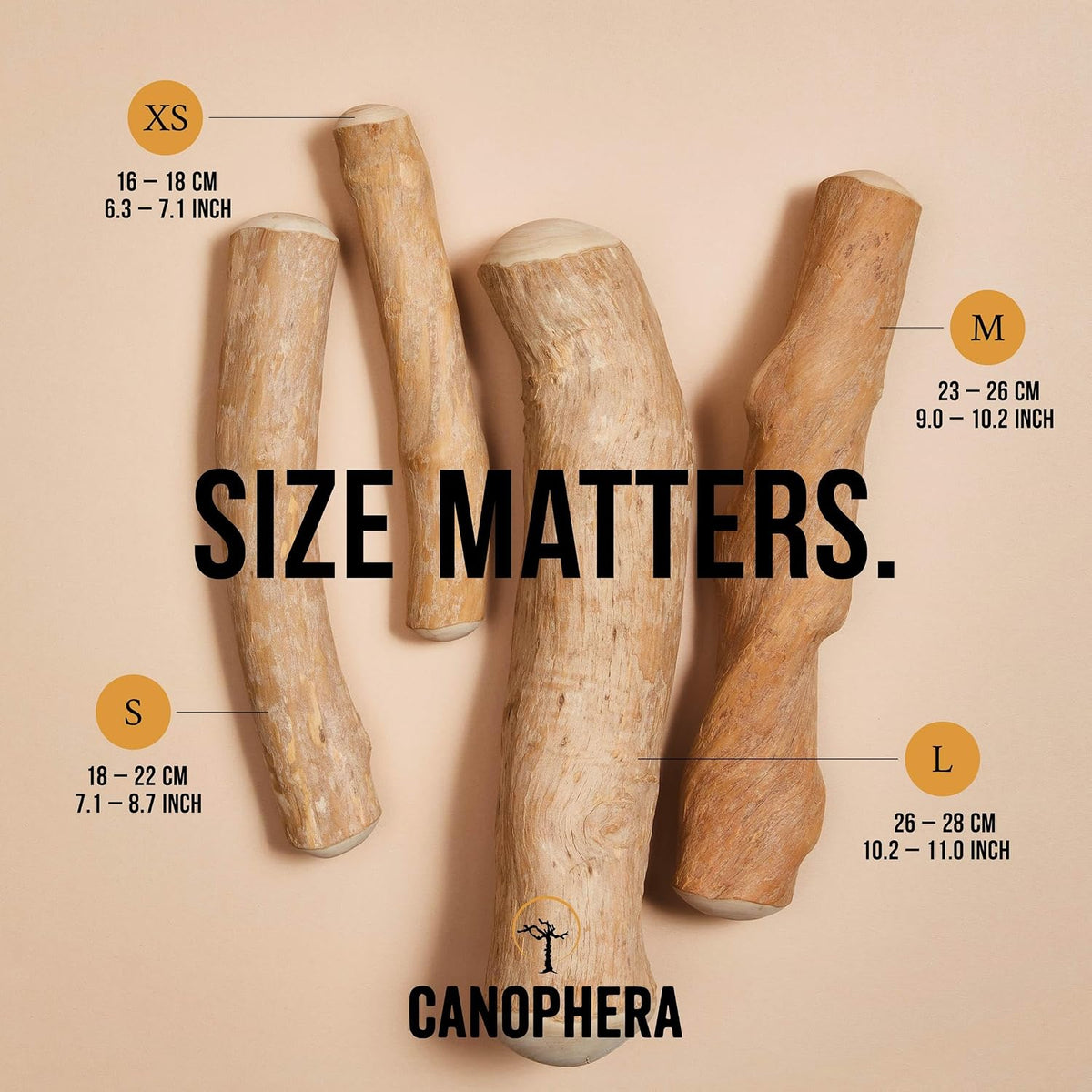 pack of 2 – xl natural coffee wood showing dimensions