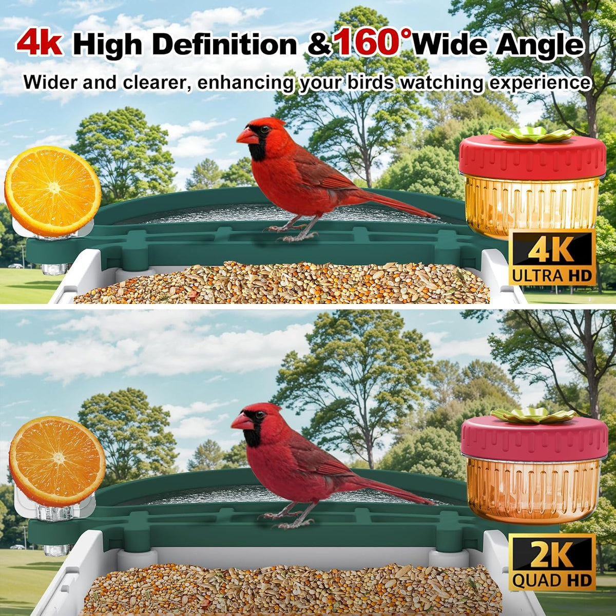4k bird feeder camera, ai identify, solar, 2-way, close-up detail