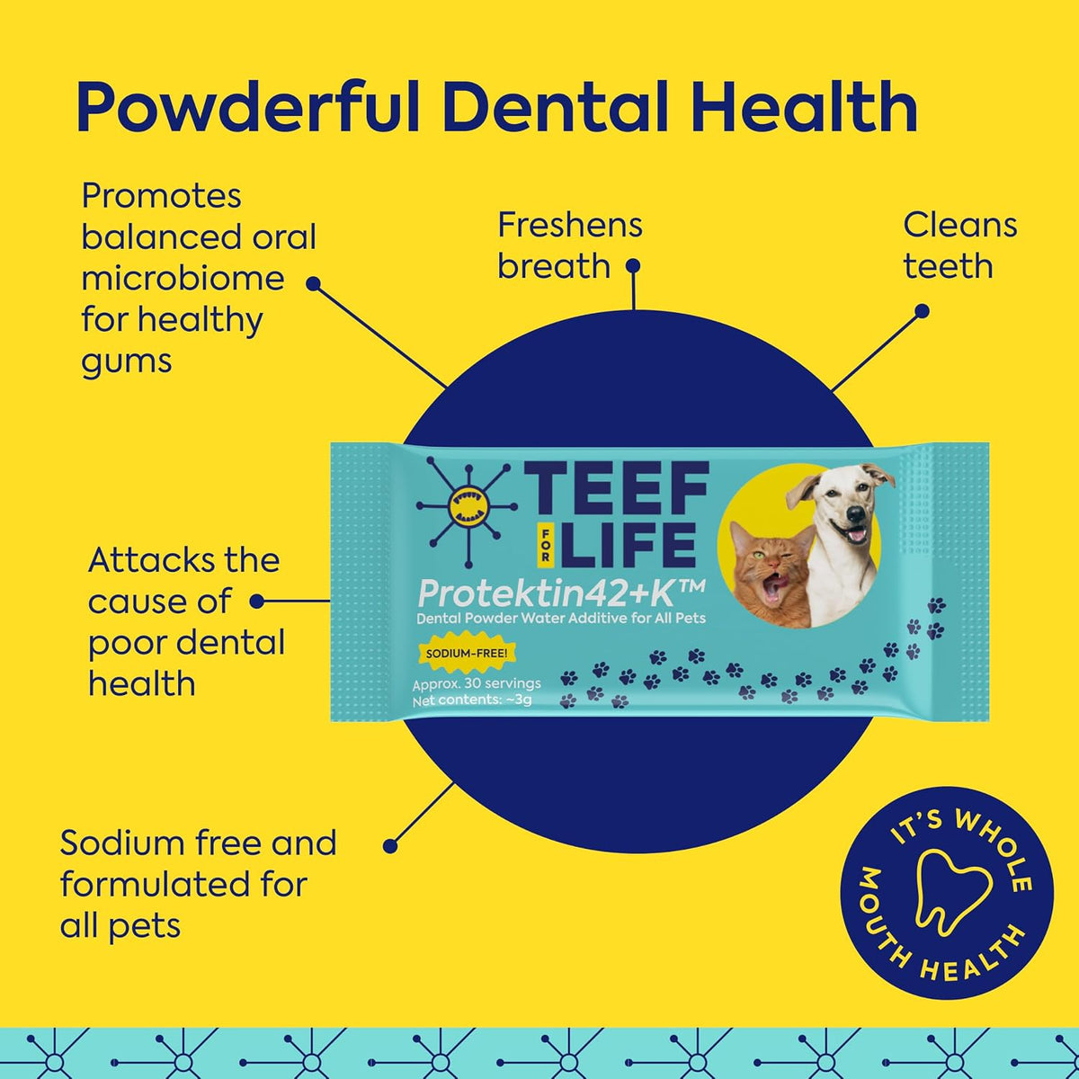 teef for life protektin42k prebiotic pet dental powder, close-up detail