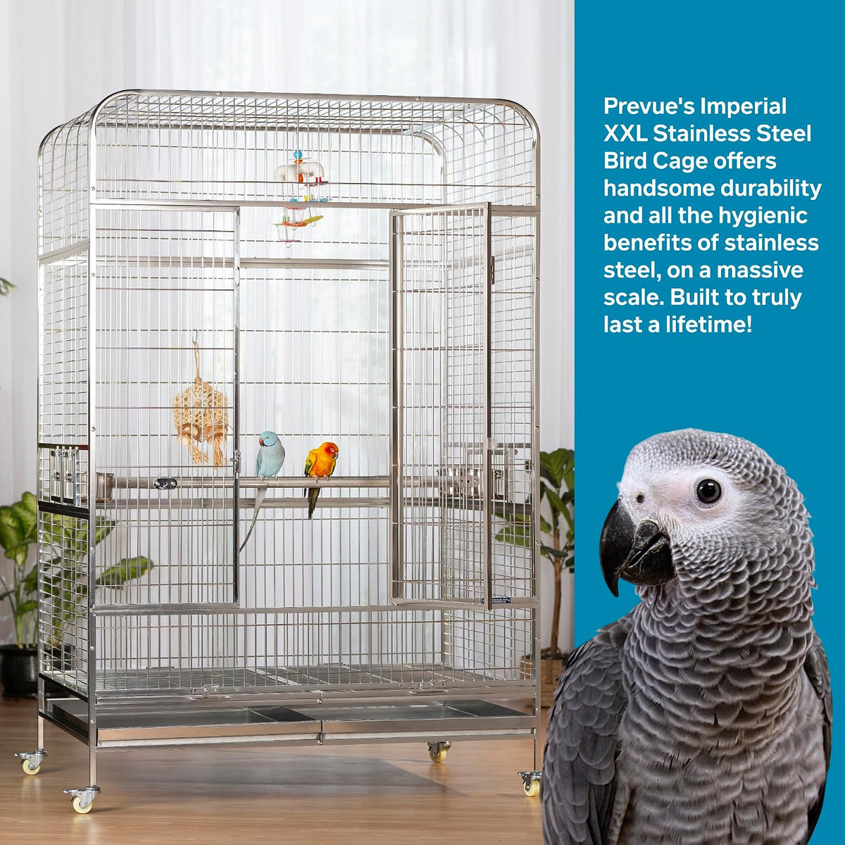 prevue pet products imperial xxl stainless steel bird shown in use