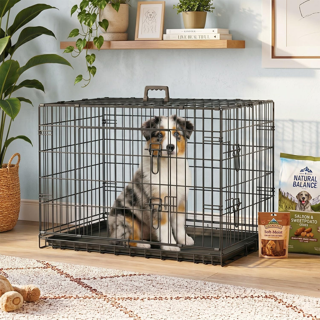 fdw dog crate for medium dogs 36 inch on a desk or shelf