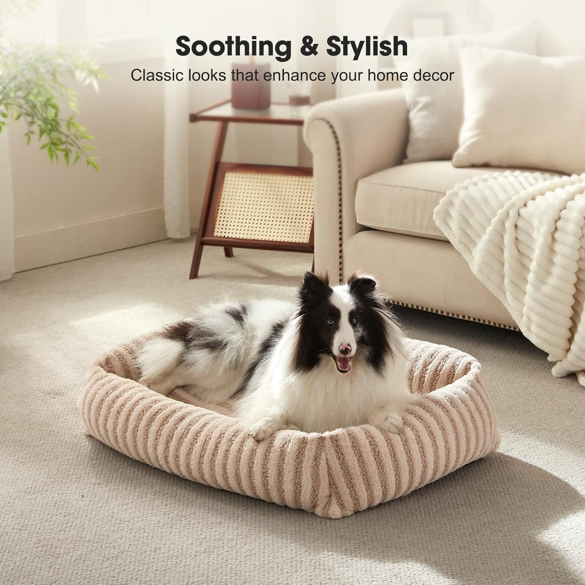 mixjoy dog bed medium size dog, washable medium on a desk or shelf
