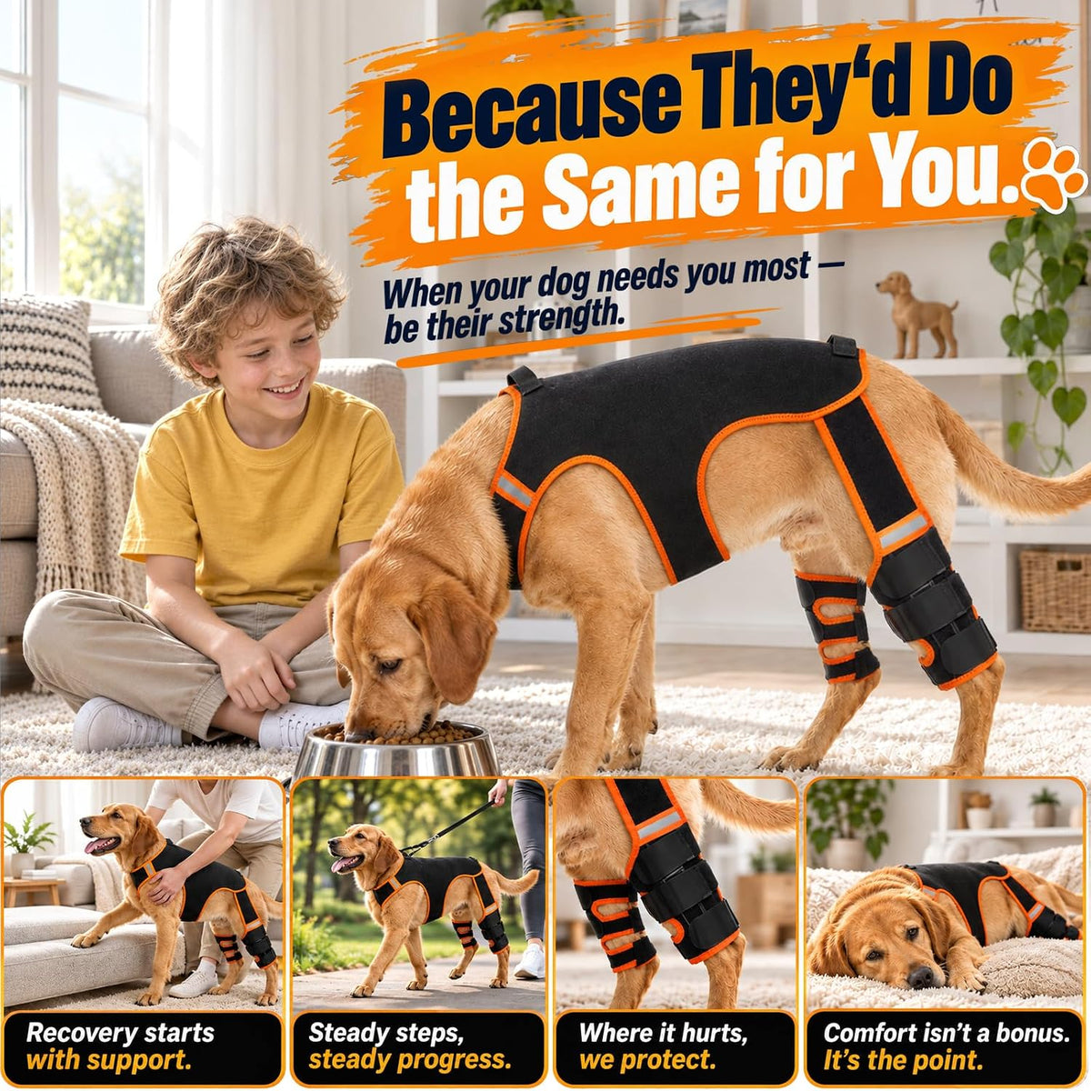 dog knee brace for back leg, acl/ccl tear, side view