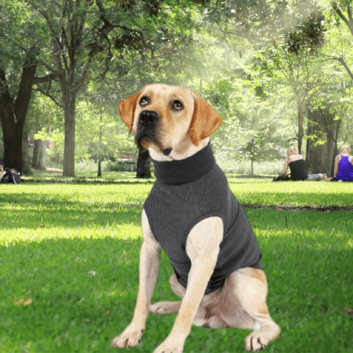 dog anxiety calming thunder vest showing dimensions