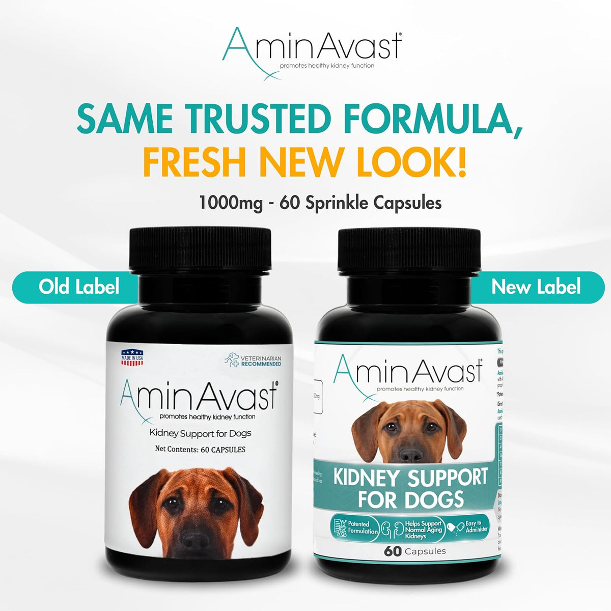 aminavast kidney support for cats & small dogs shown in use
