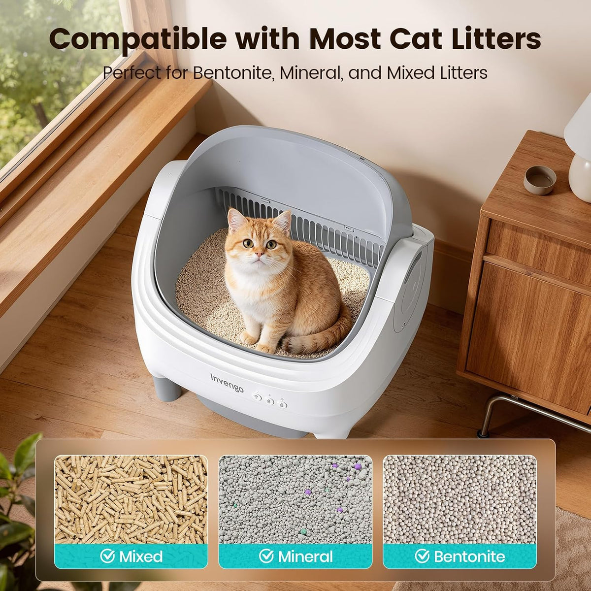 automatic litter box, electronic hands-free, open top self, side view