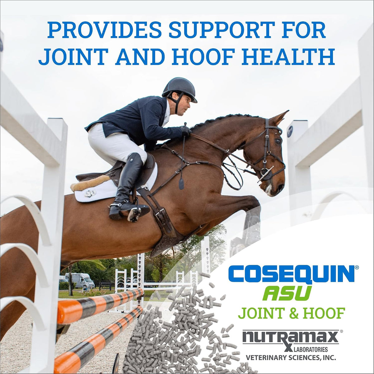 nutramax cosequin asu joint & hoof supplement for, close-up detail