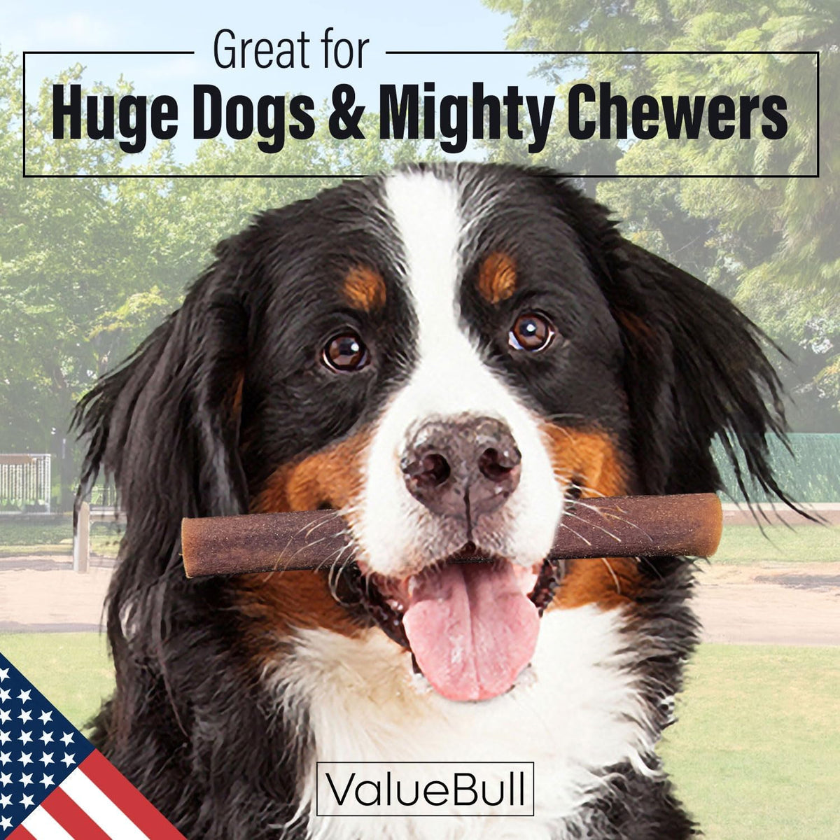 valuebull usa beef collagen sticks, 6 inch super shown in use