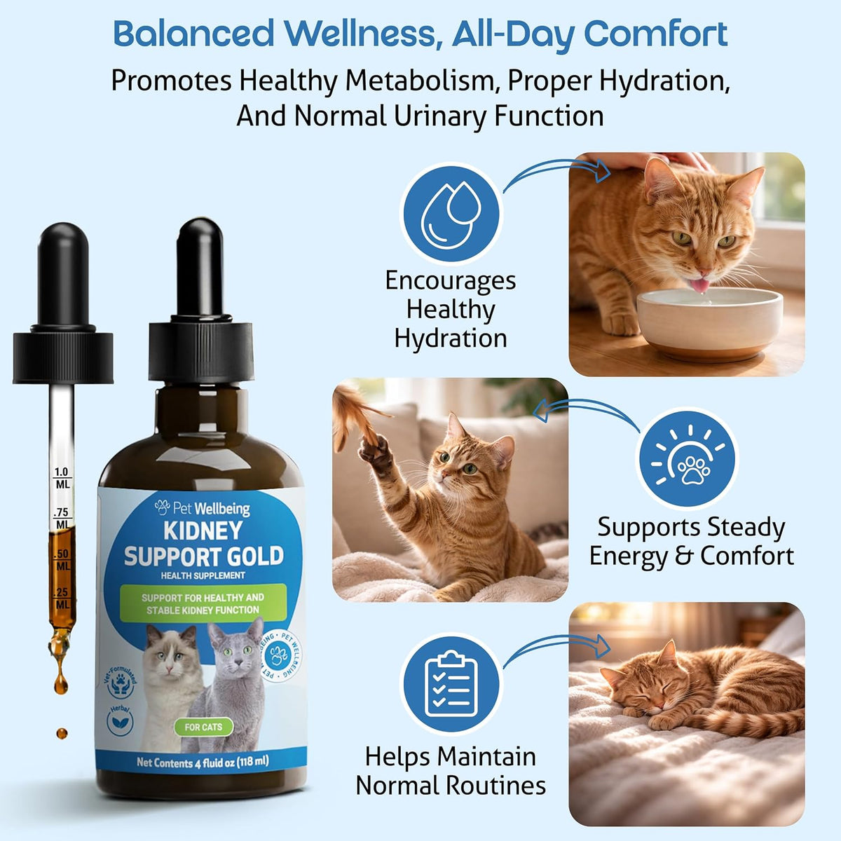 pet wellbeing kidney support gold for cats shown in use
