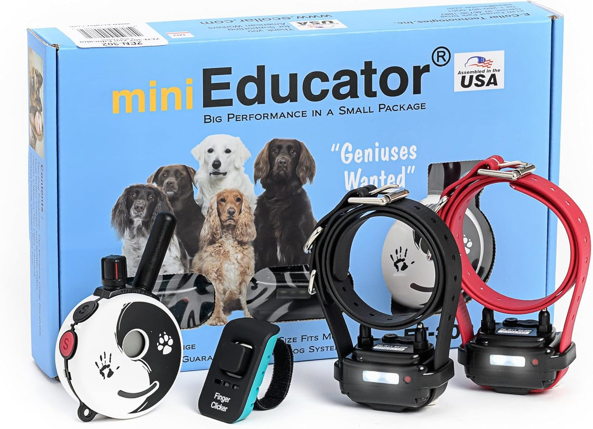 e-collar educator zen-302 dog training collar with remote, main product view