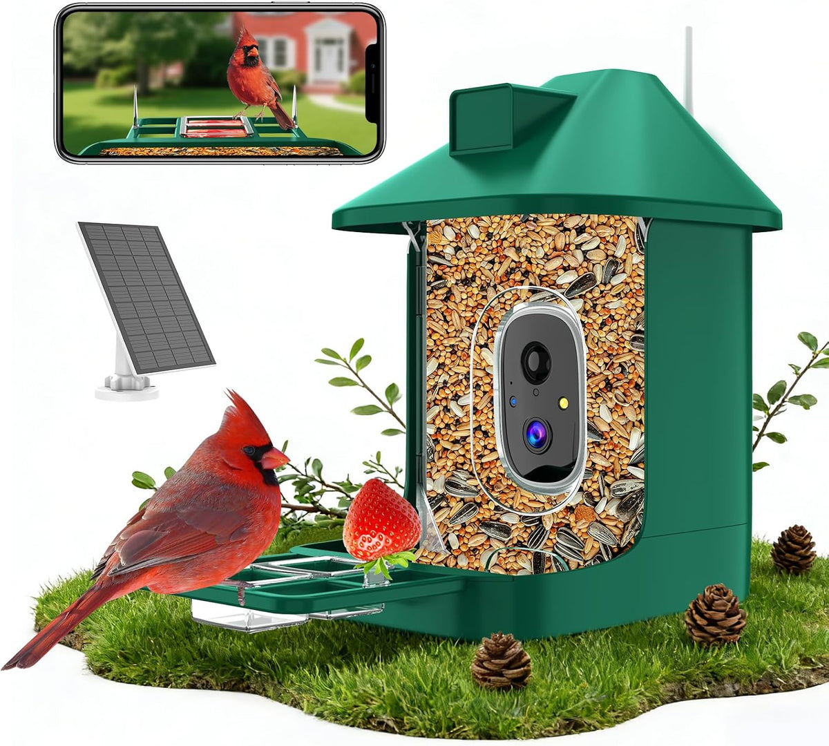 bird feeder with camera,wifi smart bird house with, main product view
