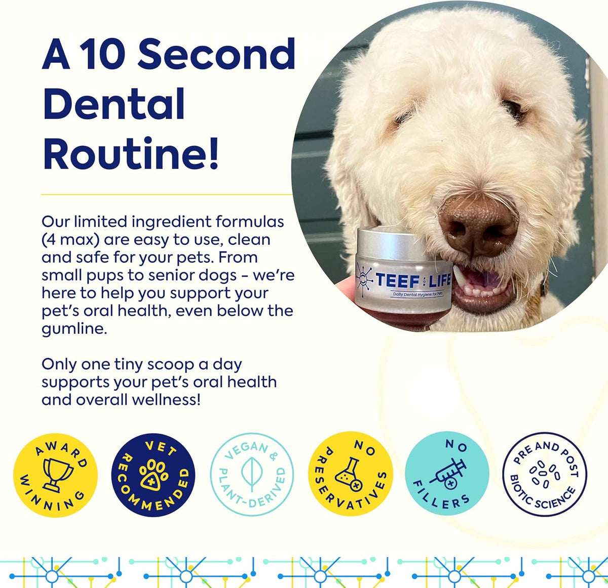 teef for life protektin42 prebiotic dog dental powder showing dimensions