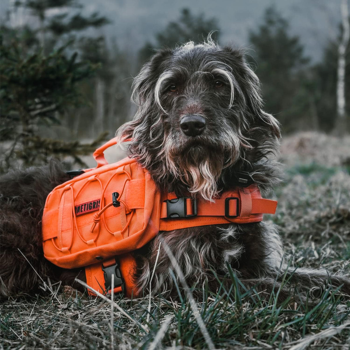 onetigris dog backpack for medium & large dogs, package contents