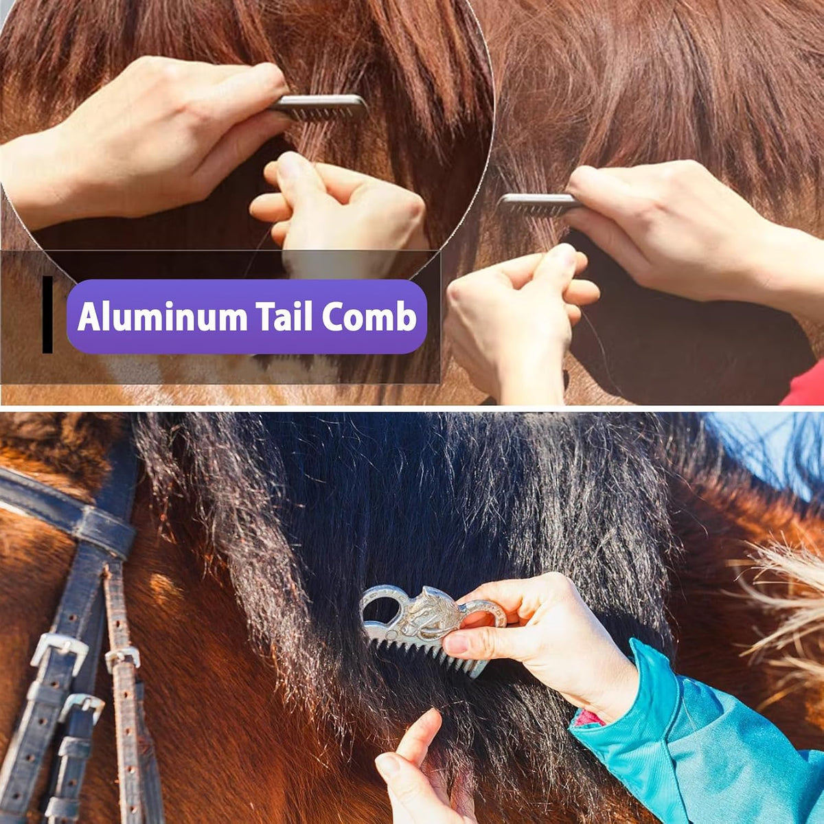 13 piece horse grooming kit, complete horse brush showing dimensions