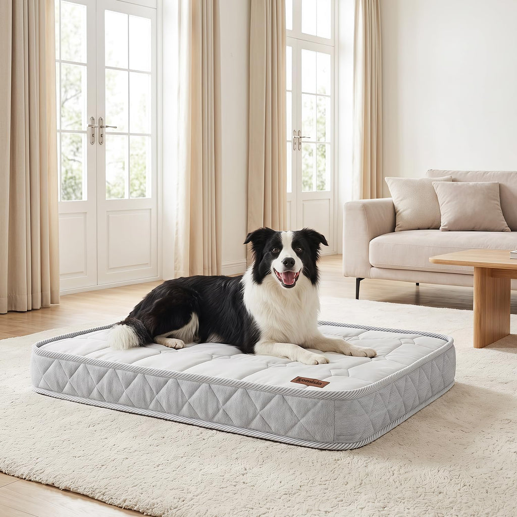 zomisia q-max 0.5 orthopedic cooling dog bed for, front angle view