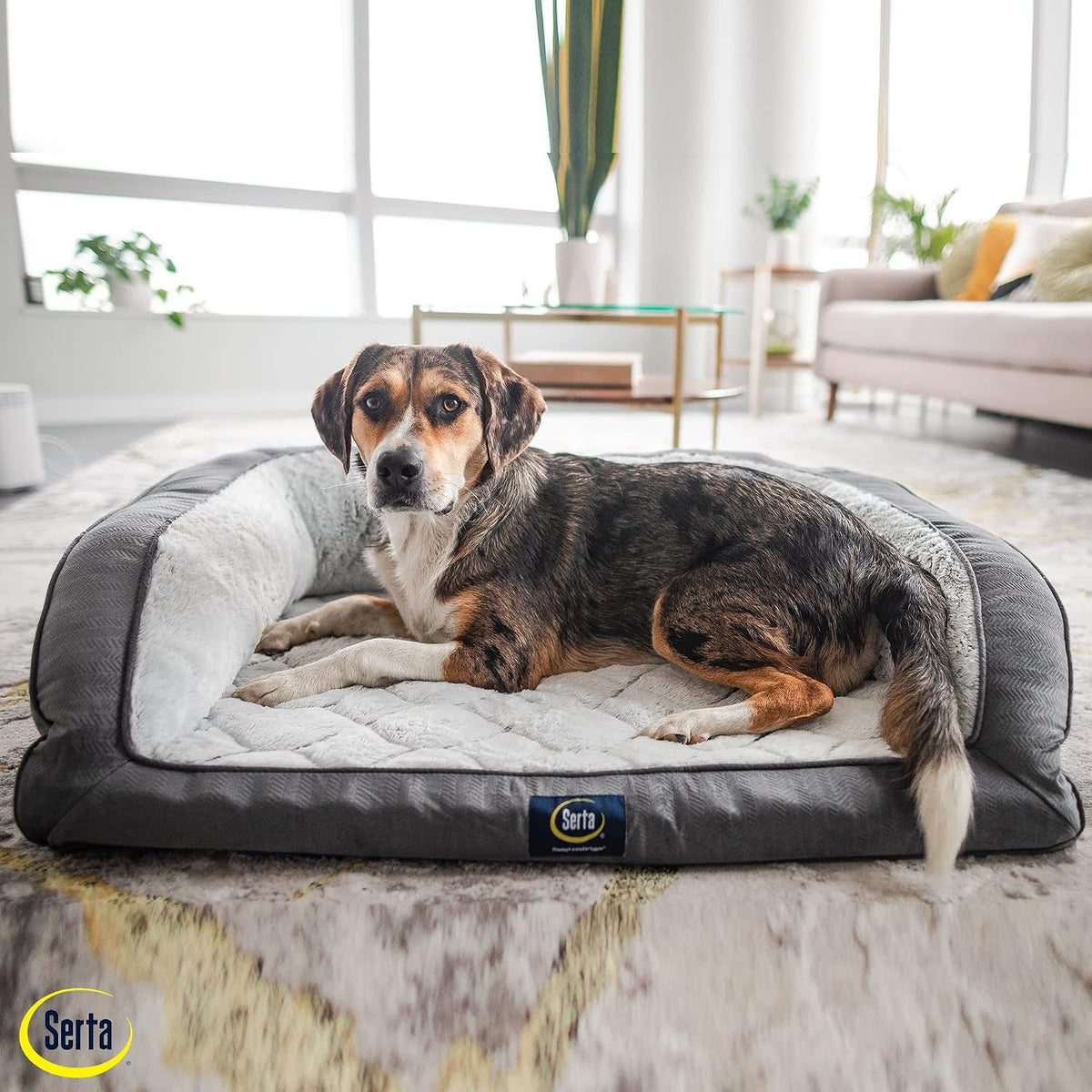 serta orthopedic quilted couch dog bed for pets showing dimensions