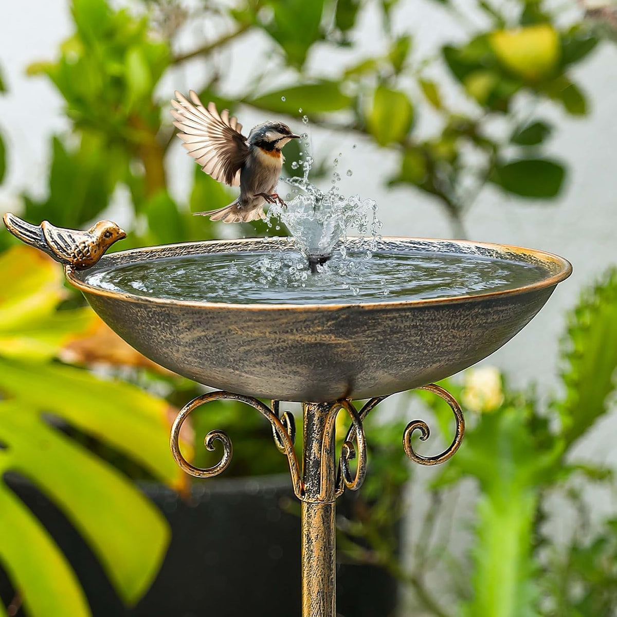 11.4" w*27.6" h cast iron pedestal bird bath, side view