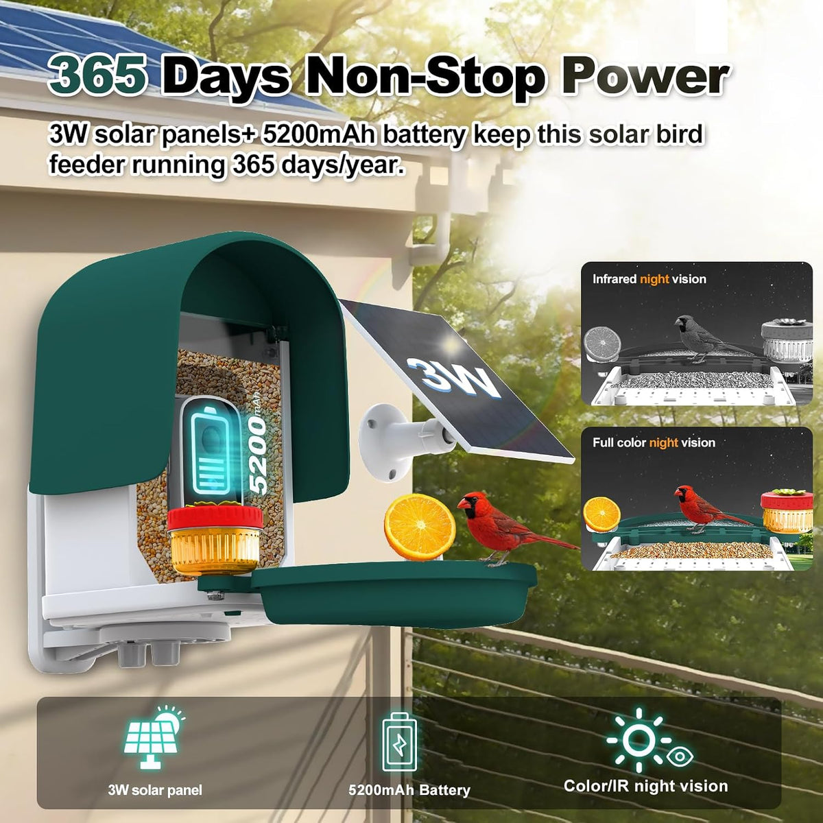 4k smart bird feeder with camera, build-in 32gb, close-up detail