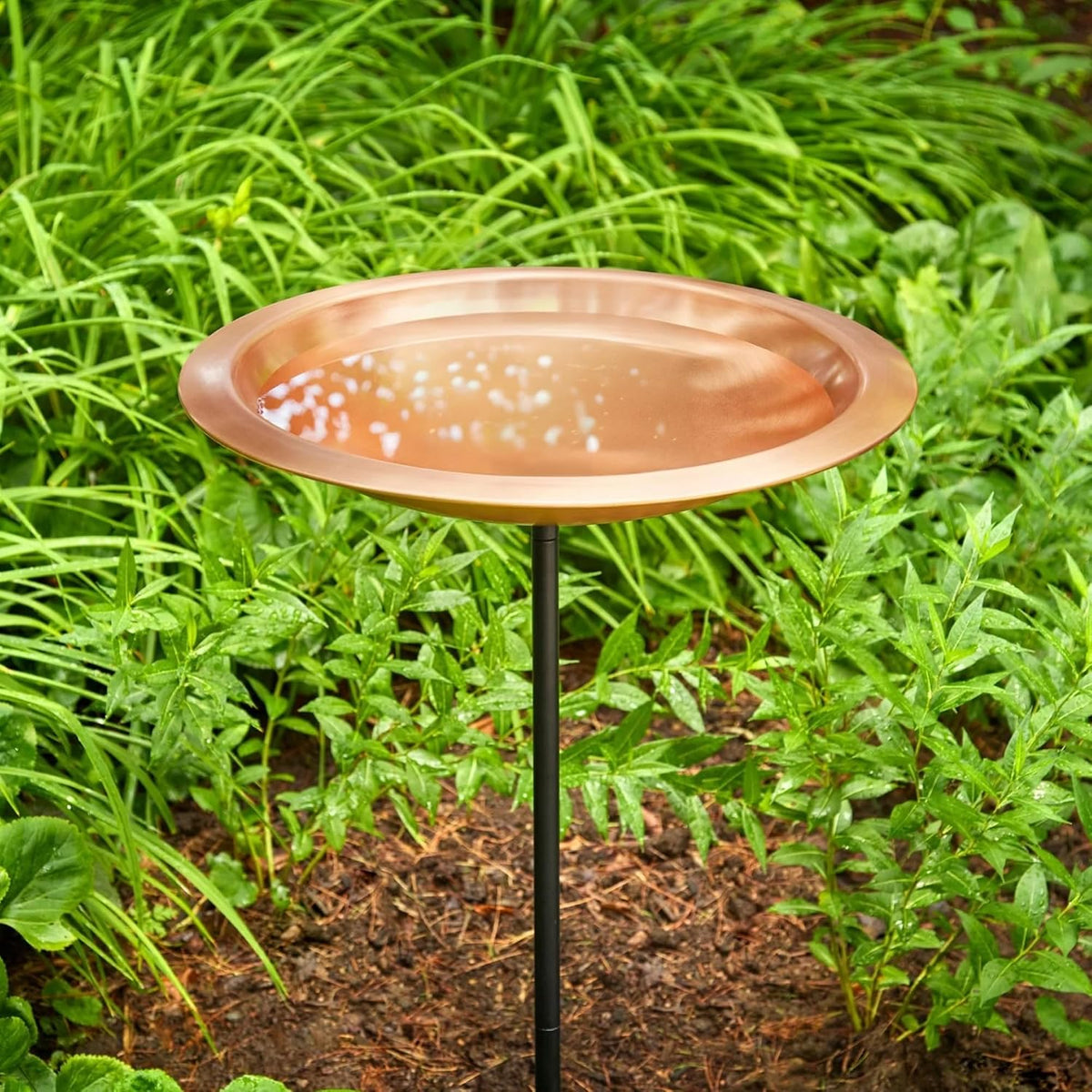 good directions matte copper bird bath on garden, close-up detail