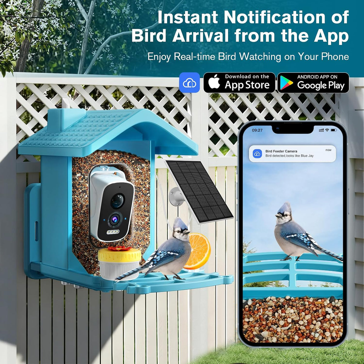 smart bird feeder with camera solar powered, ai shown in use