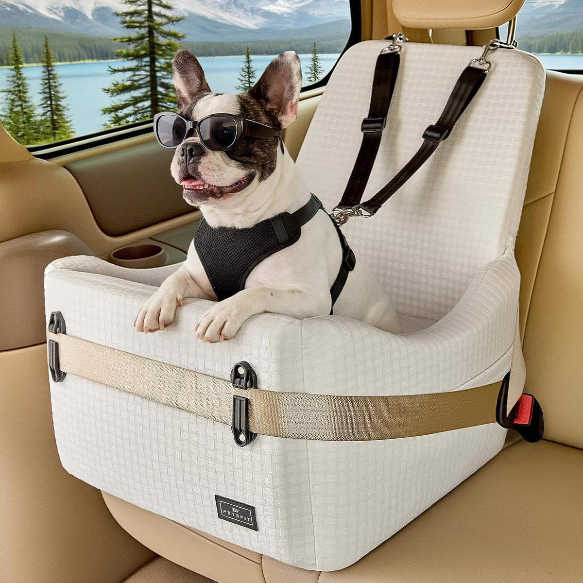 petsfit pet car seat with patented safety system, main product view