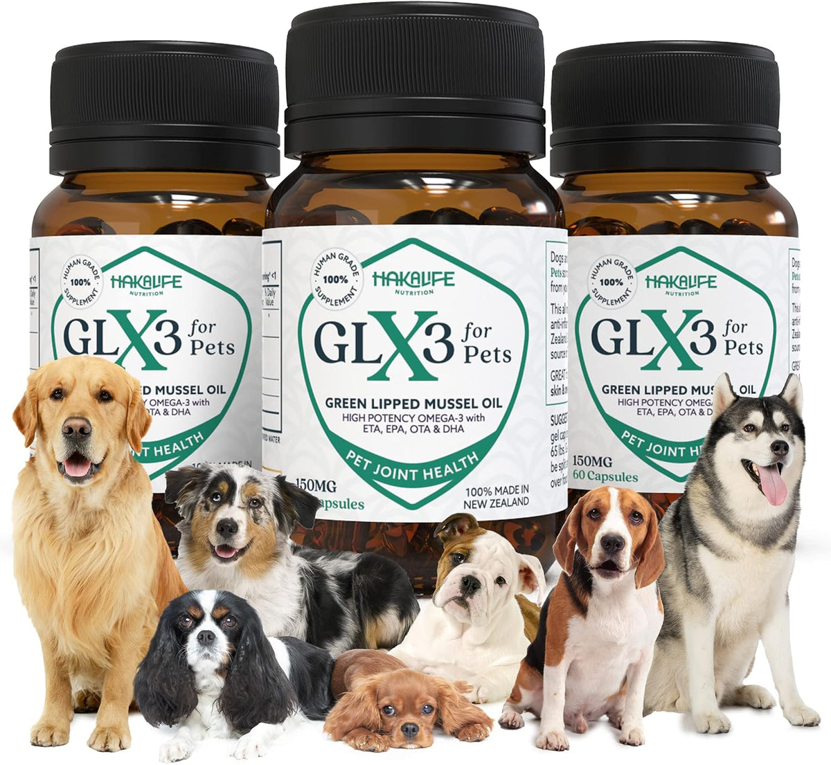 glx3 green lipped mussel oil for dogs |, main product view