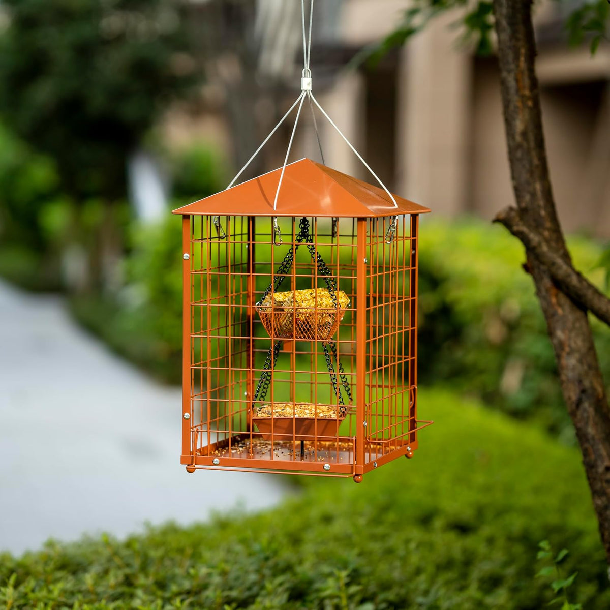 mealworm bird feeders, squirrel-proof bluebirdshanging bird feeder with, close-up detail