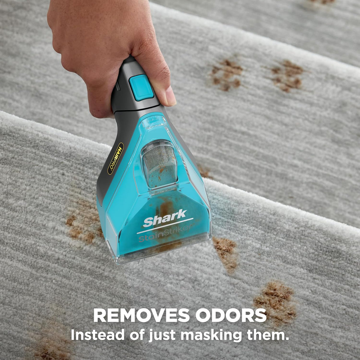 shark stainstriker hairpro portable stain cleaner, 3 tools on a desk or shelf