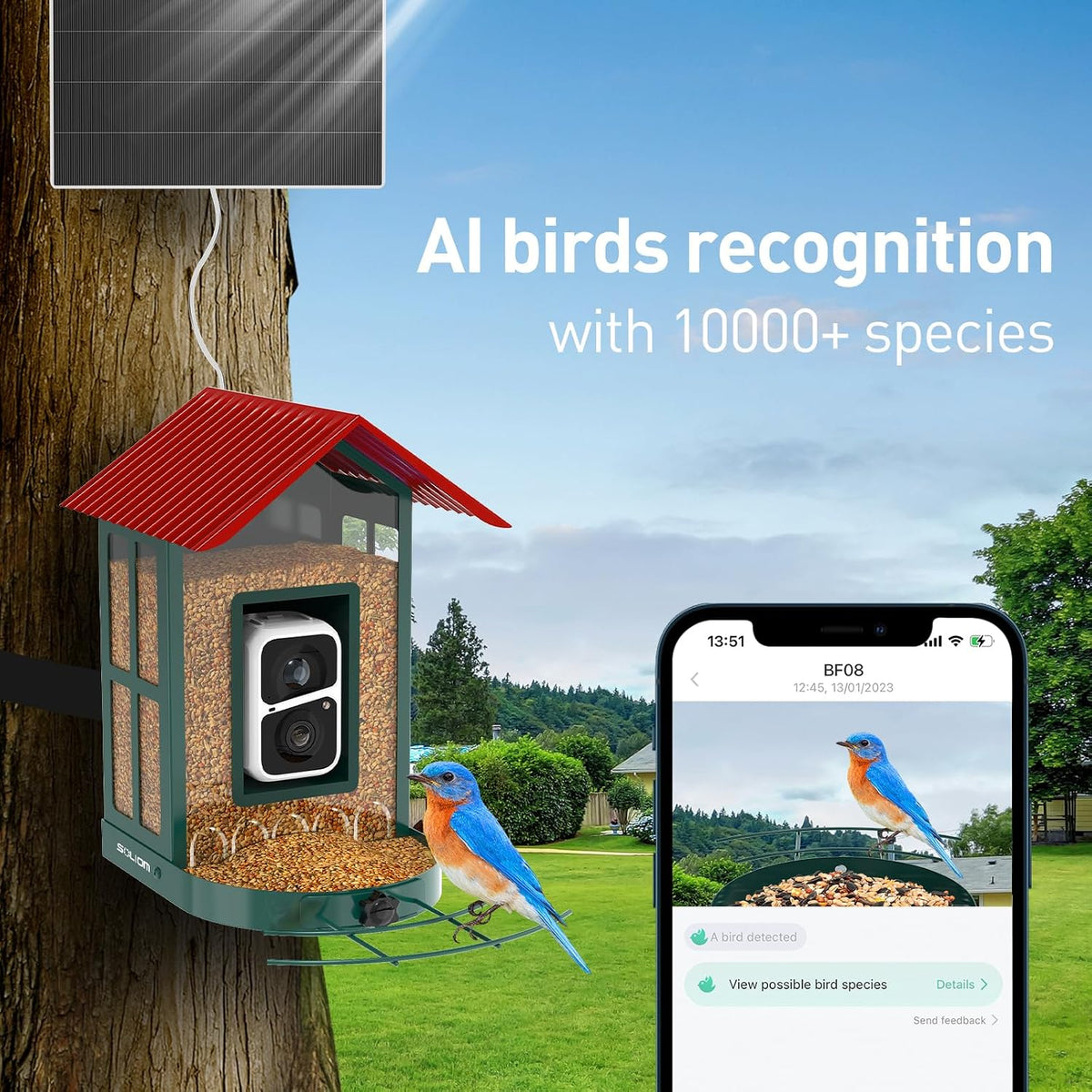 soliom smart bird feeder with camera for outdoors, close-up detail