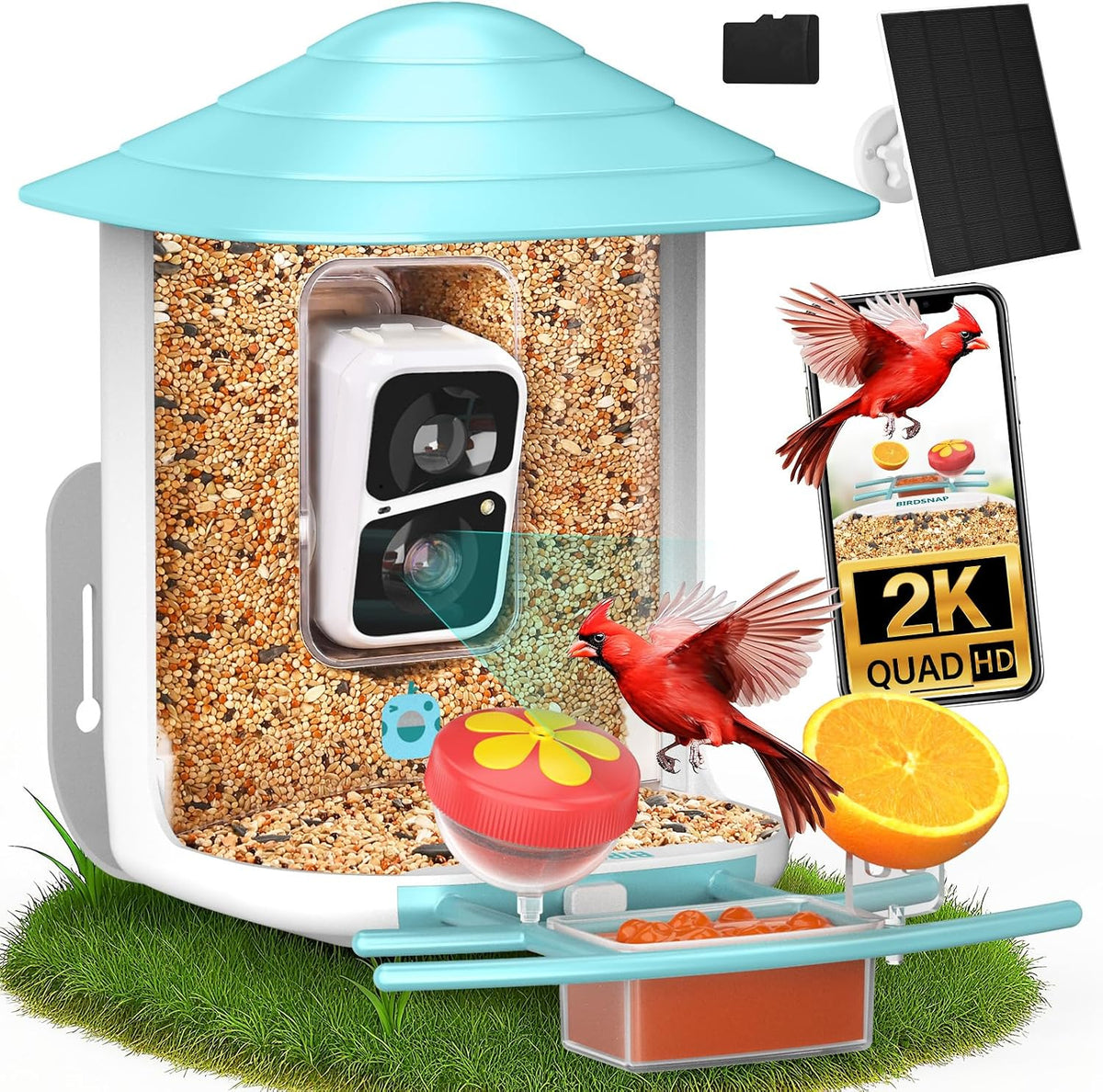 birdsnap® tuc bird feeder with camera solar powered, main product view