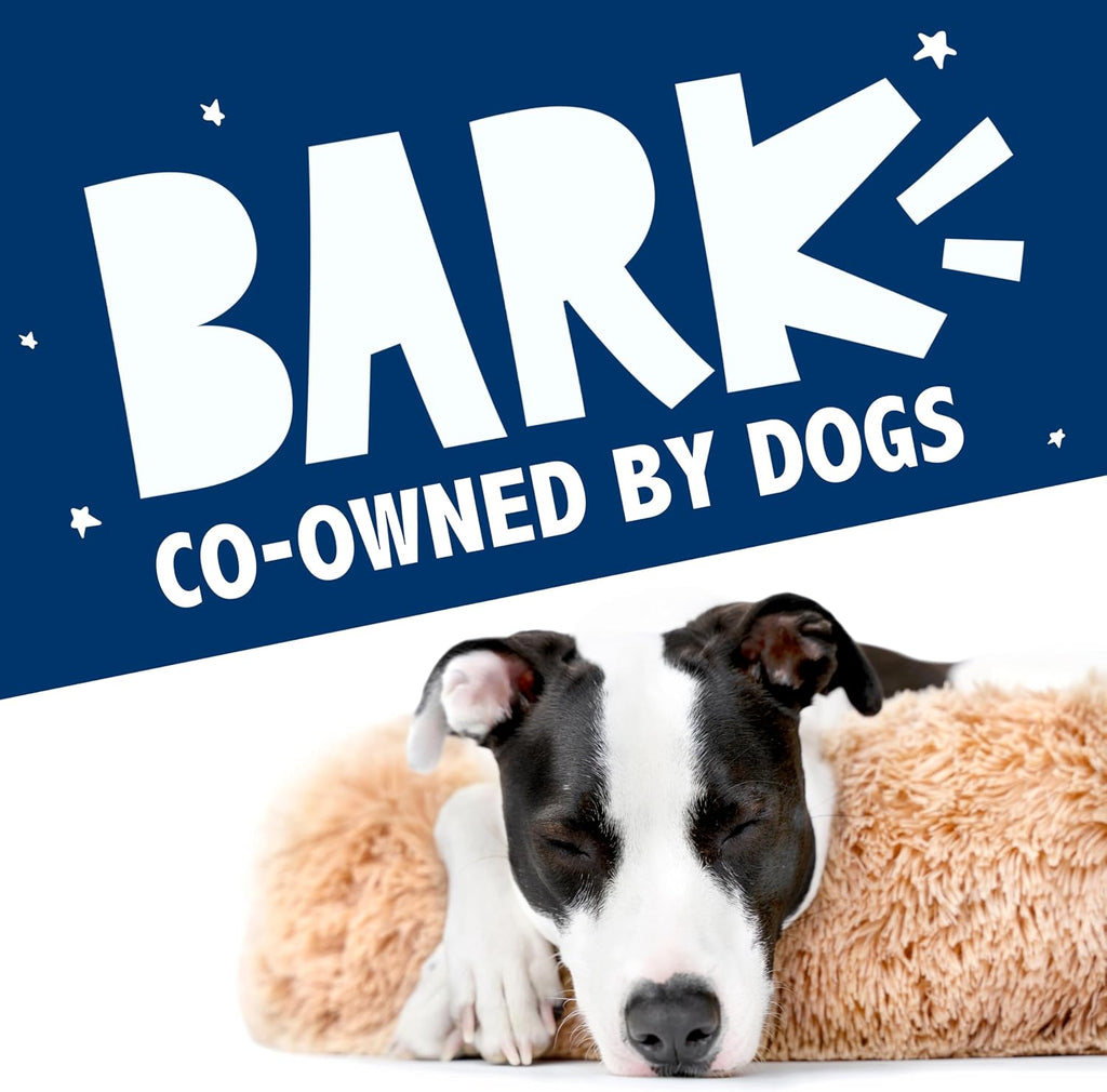 barkbox dog bed, 2-in-1 memory foam donut cuddler on a desk or shelf