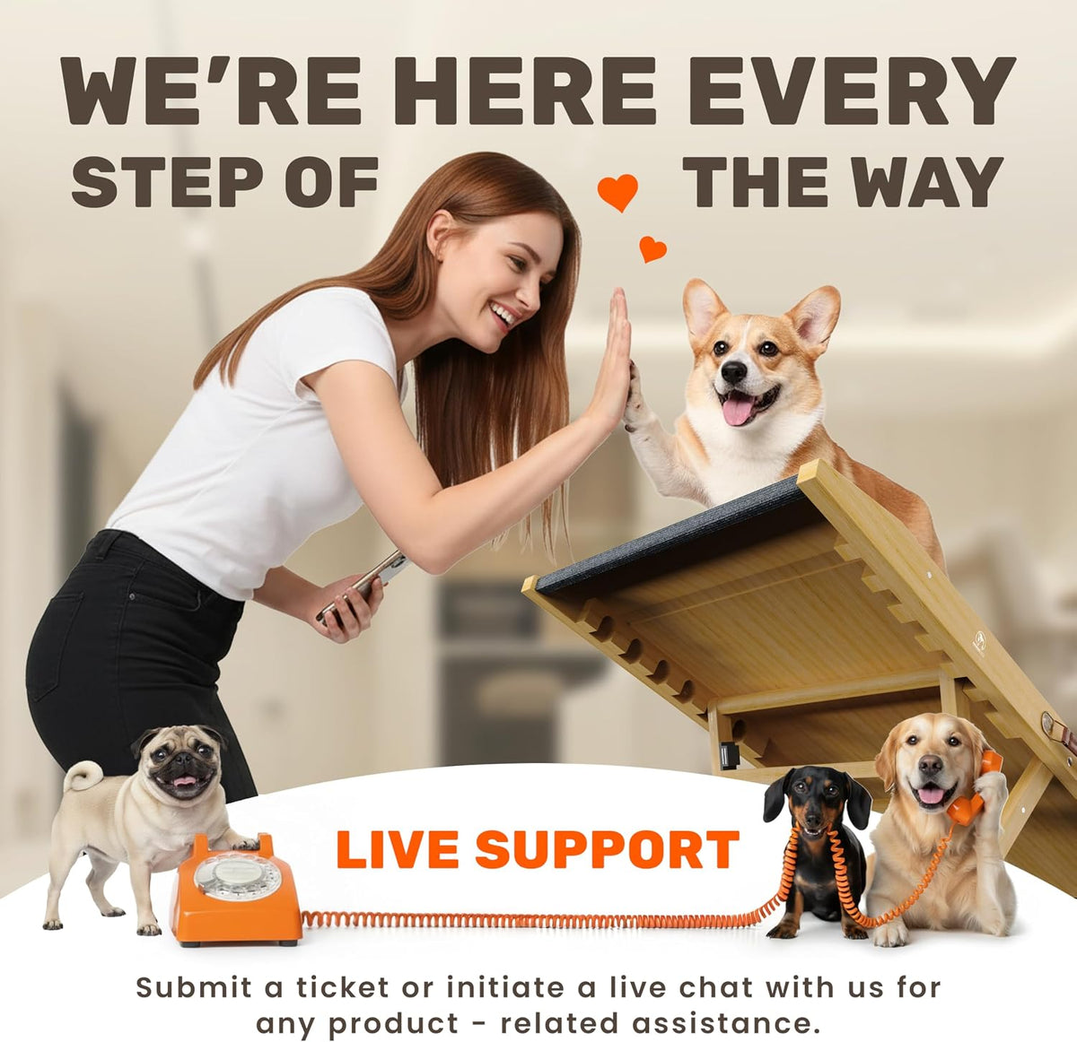 foldable dog ramp for couch - portable dog showing dimensions