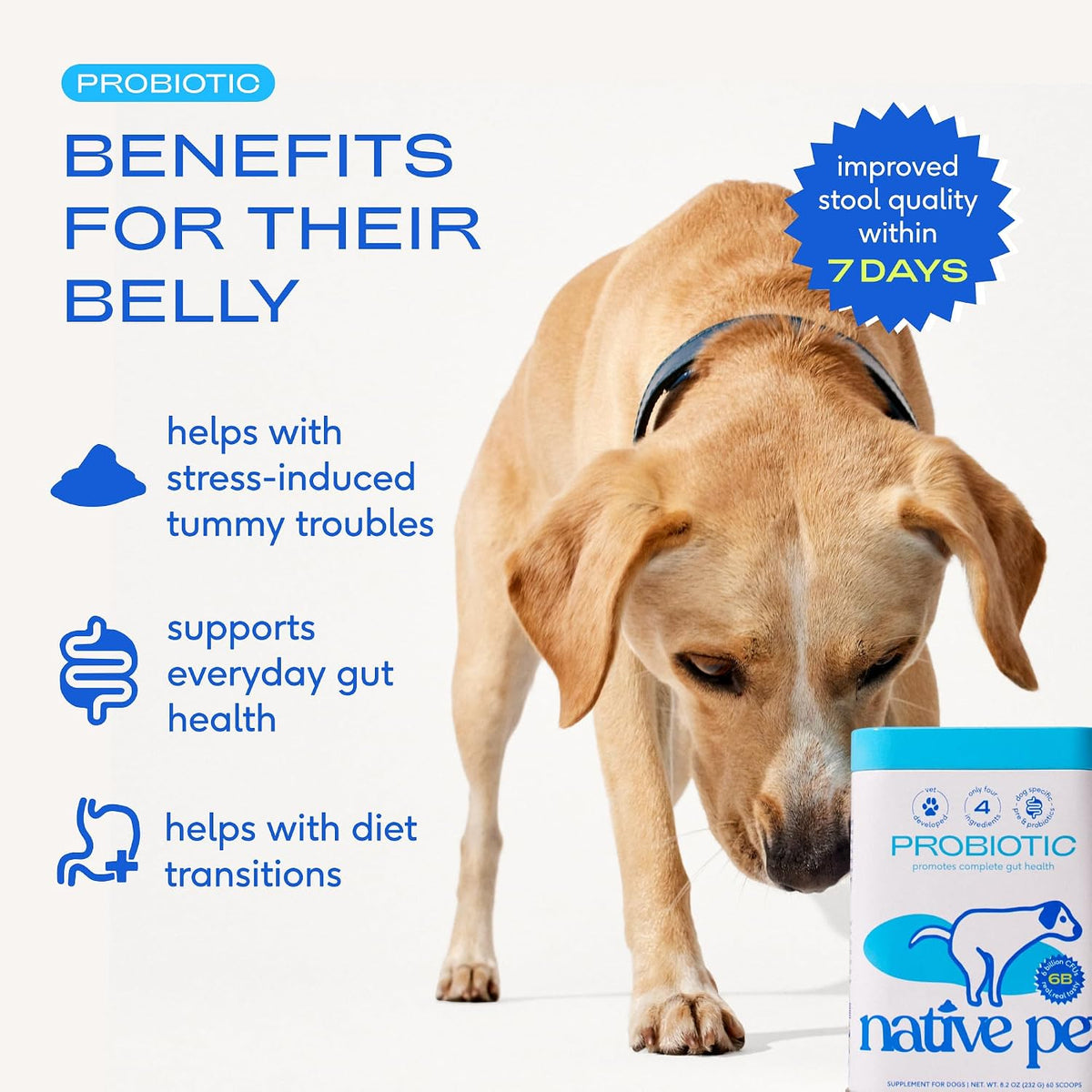native pet probiotics for dogs – dog probiotic shown in use