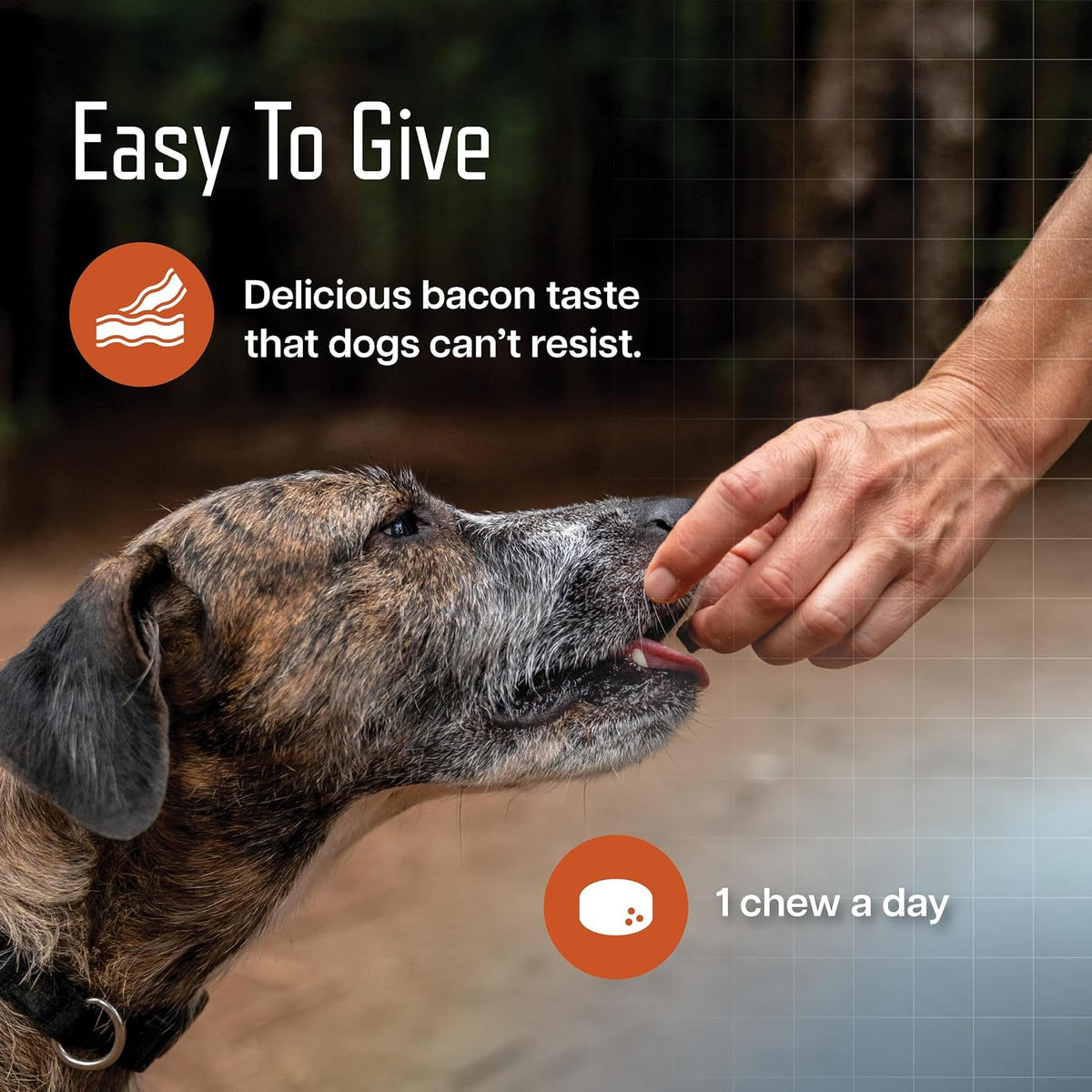 virbac ursolyx soft chews for dogs | muscle showing dimensions