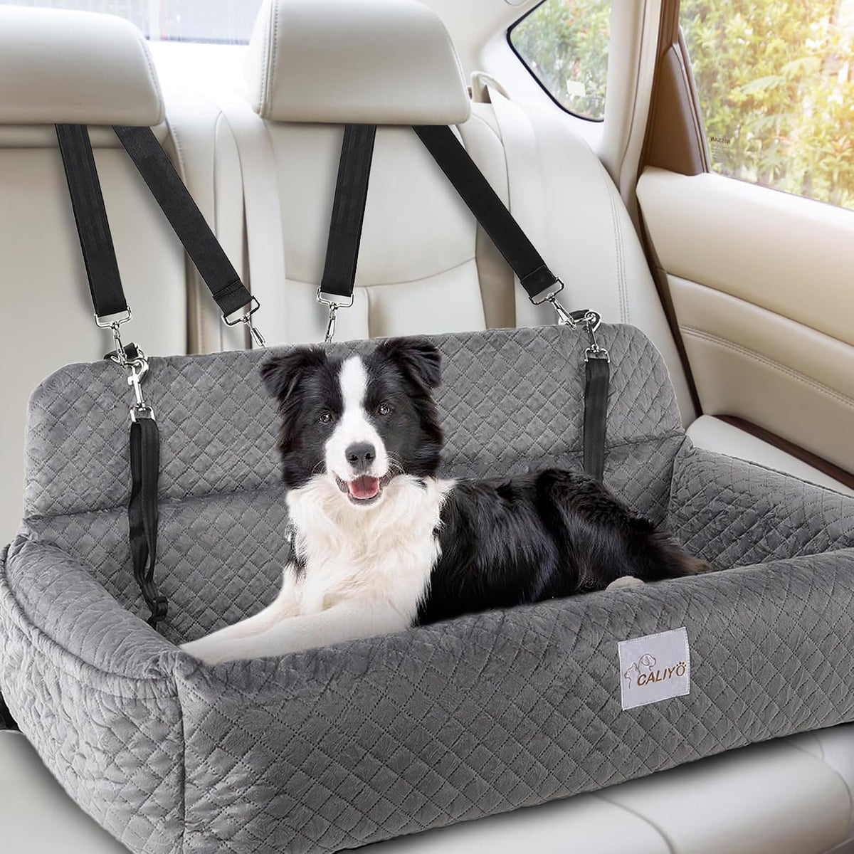 medium to large dog car seat，suitable for all shown in use