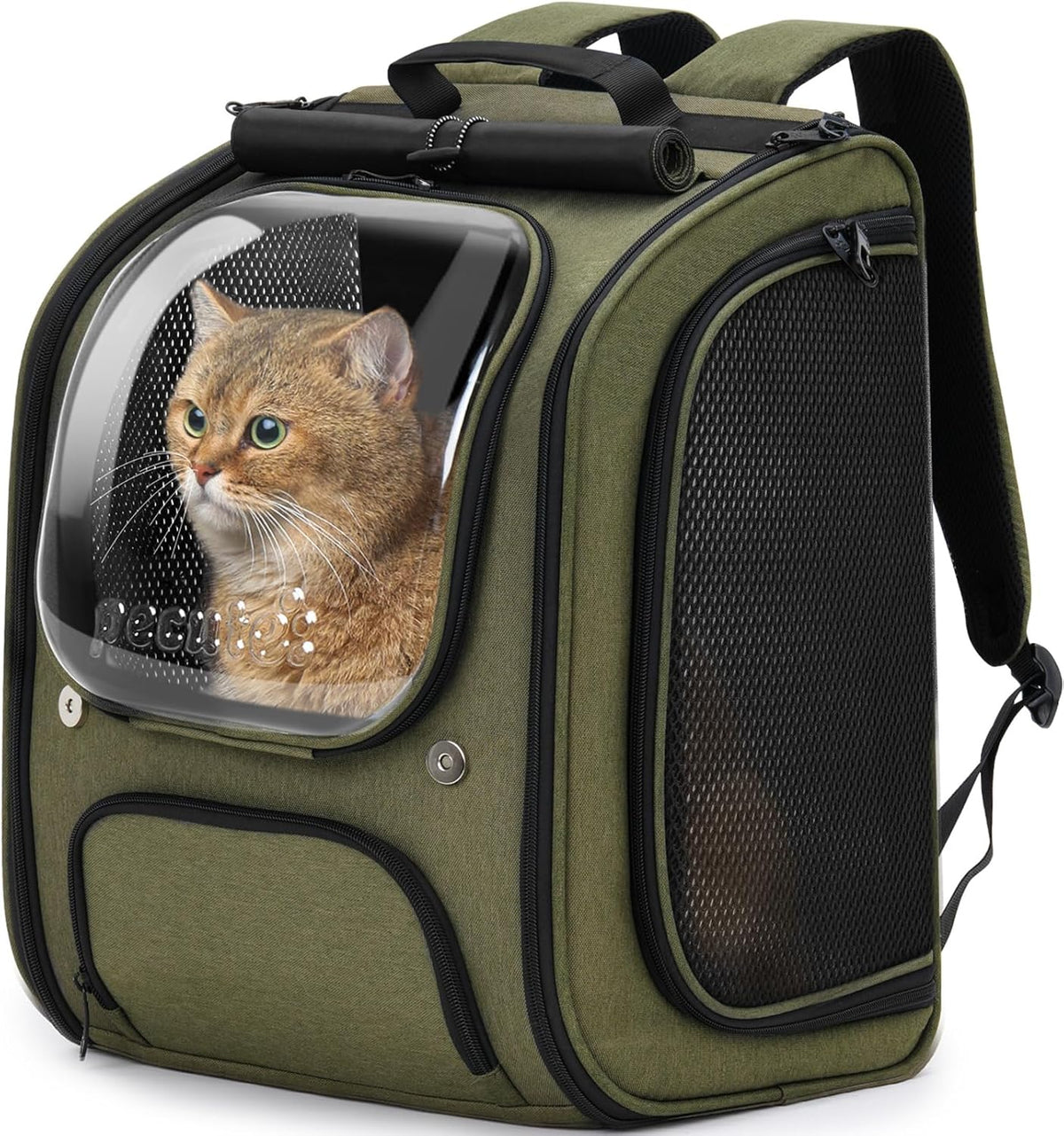 pecute cat backpack carrier,large space cat bubble backpack,ergonomic,green, main product view