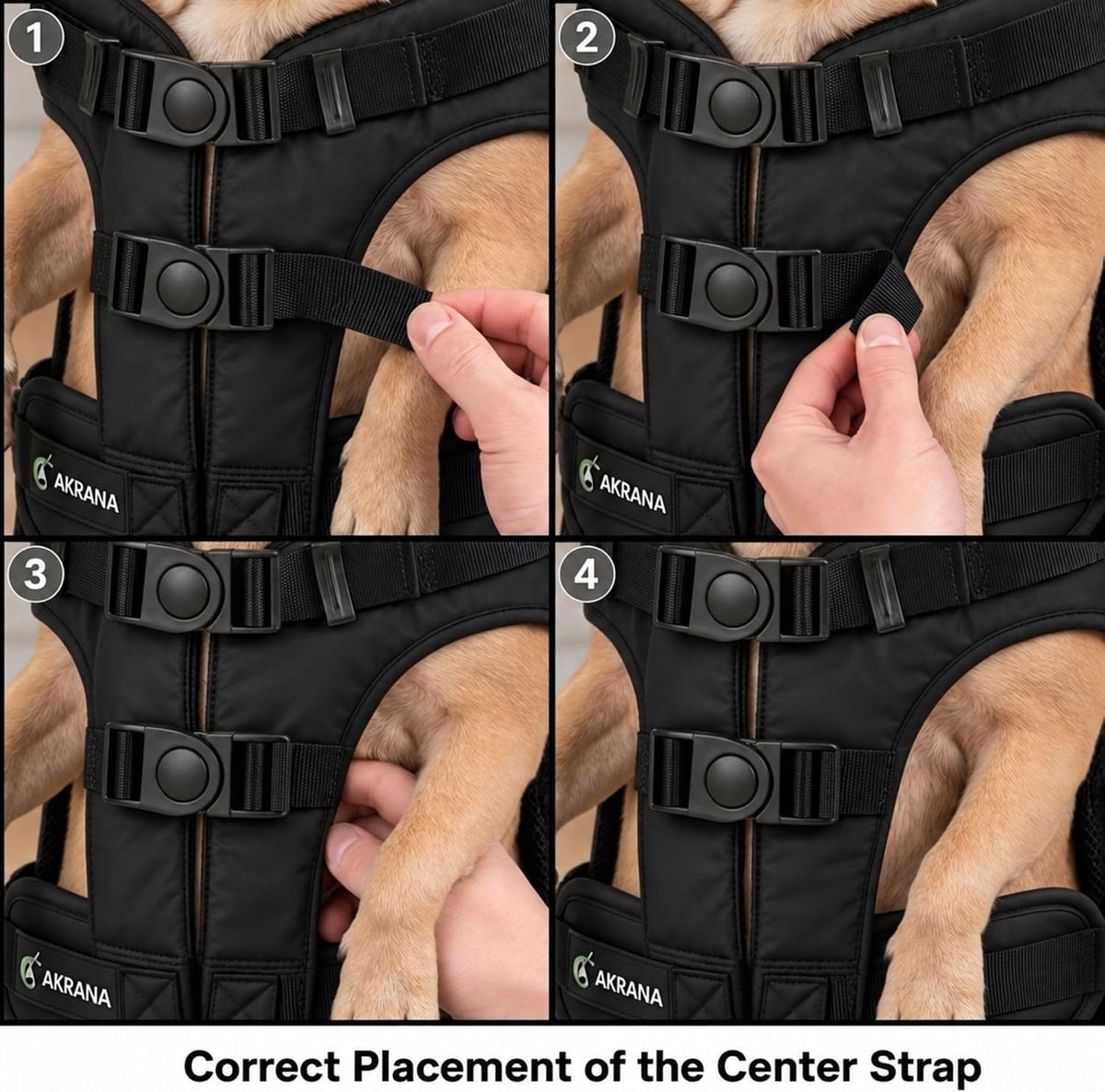 dog backpack carrier for small dogs (medium), front angle view